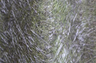 Litchurch fibreglass roof work